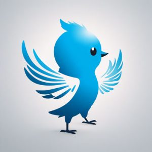 ادارة حسابات تويتر إكس في قطر